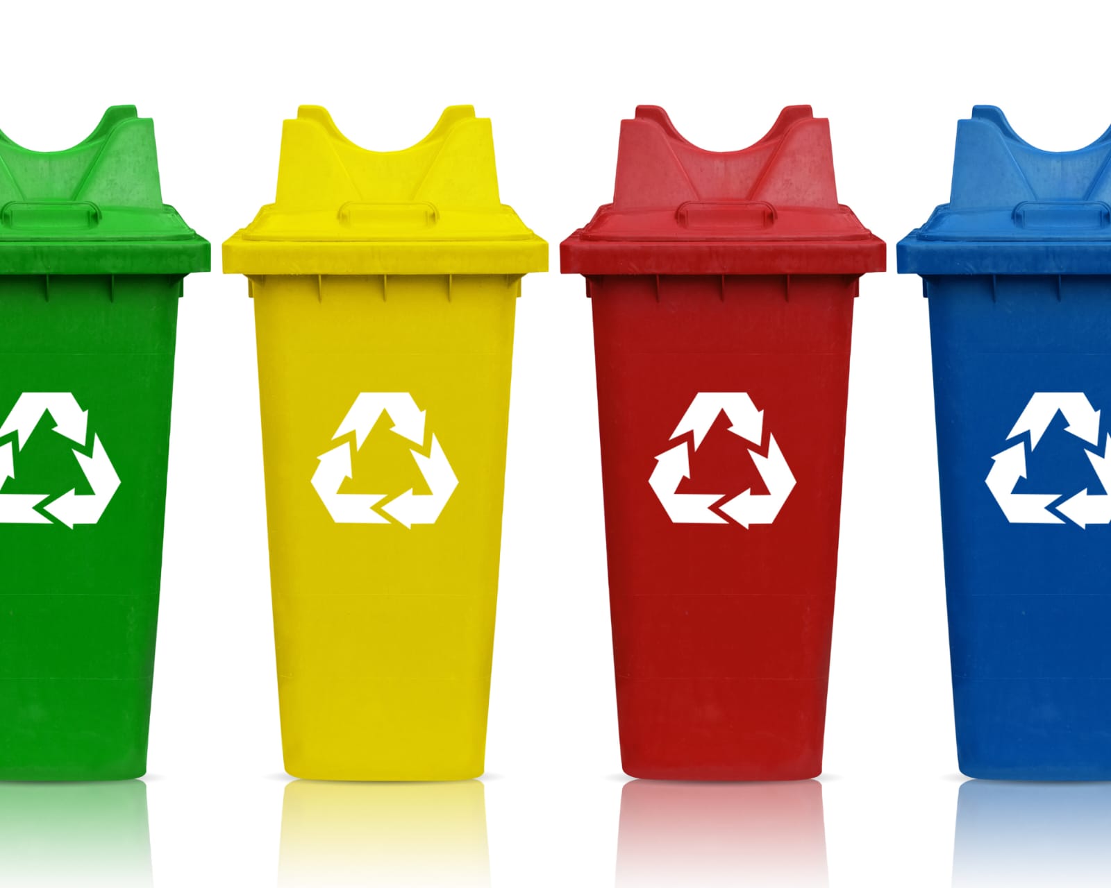 WhatsApp Image 2023-06-26 at 16.29.36.jpeg