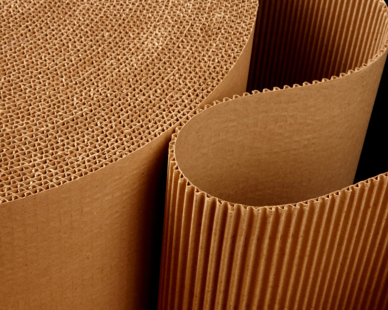 WhatsApp Image 2023-06-27 at 10.52.08.jpeg