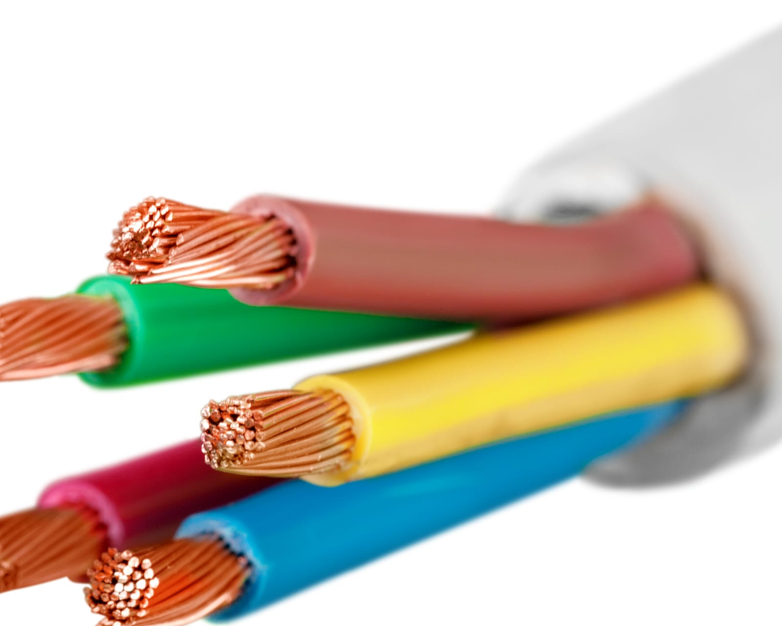 WhatsApp Image 2023-06-26 at 17.08.30.jpeg